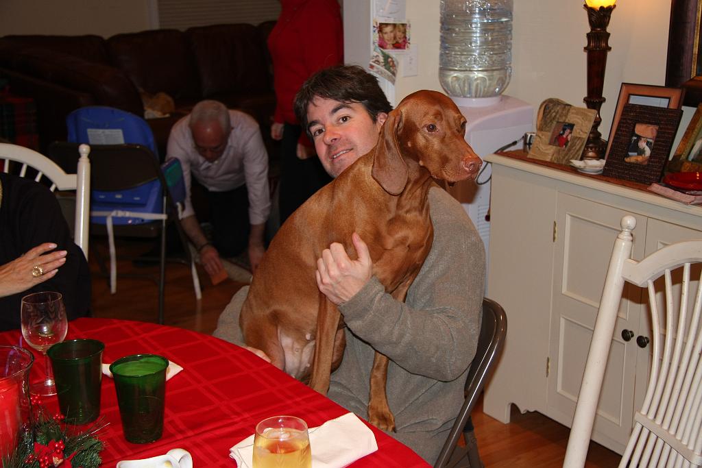 IMG_0807.jpg - The world's largest lap dog.