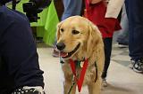 IMG_1980