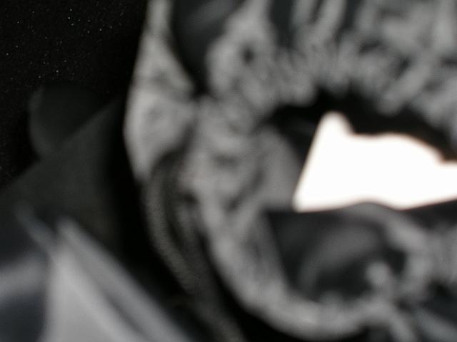 P1012419.JPG