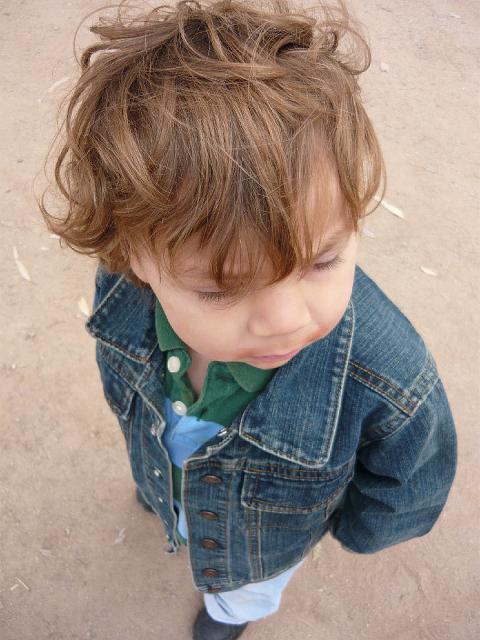 P1000260.JPG