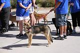 IMG_1622