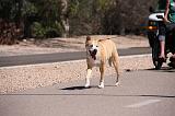 IMG_1680