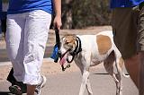 IMG_1699