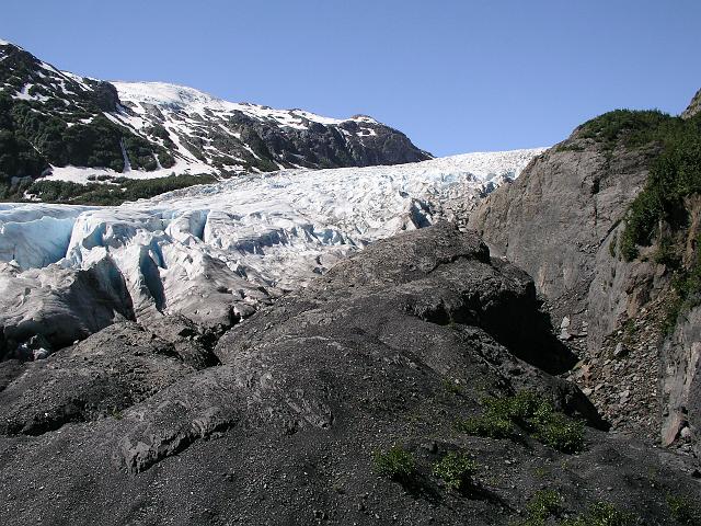 P6210105.JPG - Exit Glacier.