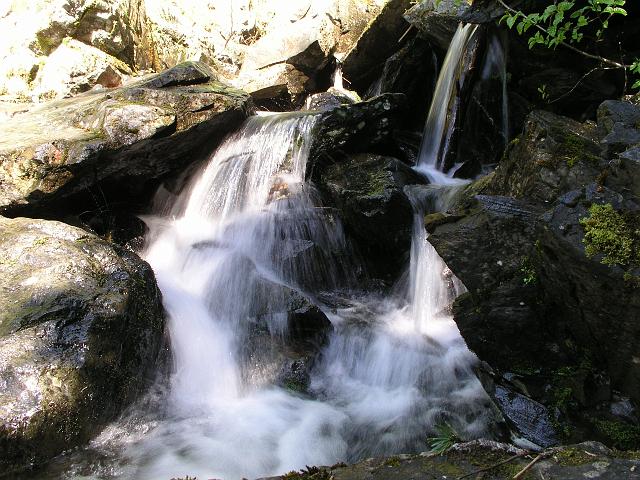 P6220153.JPG