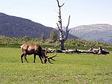 P6200057