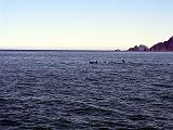 P6210135