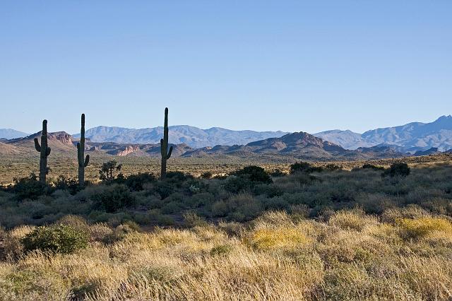 IMG_1566.JPG - Hiking around Lost Dutchman State Park