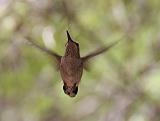 IMG_1515