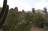 IMG_1516