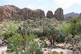 IMG_1520