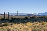 IMG_1566