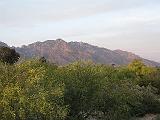 tucson_landscapes