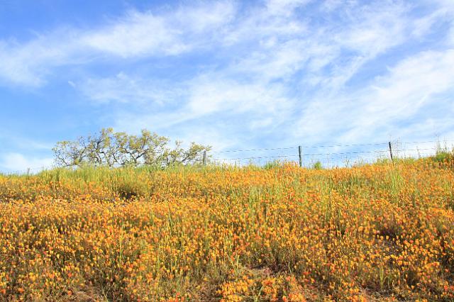 IMG_5873.JPG