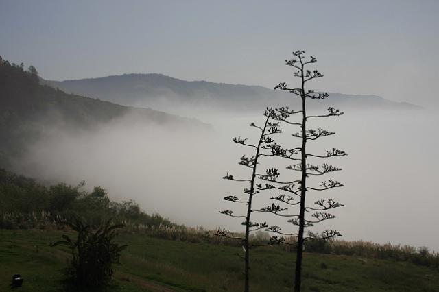 IMG_5964.JPG