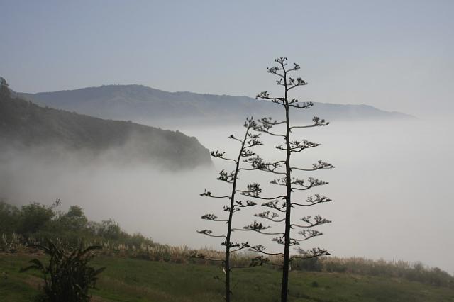 IMG_5965.JPG