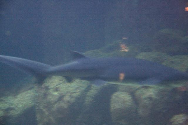 IMG_5978.JPG