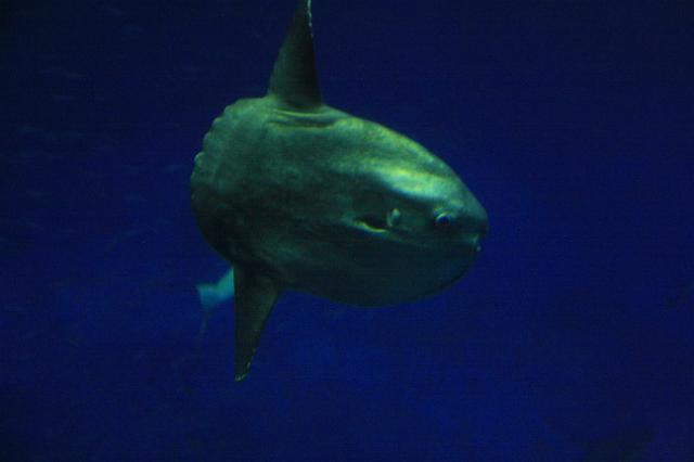 IMG_5991.JPG