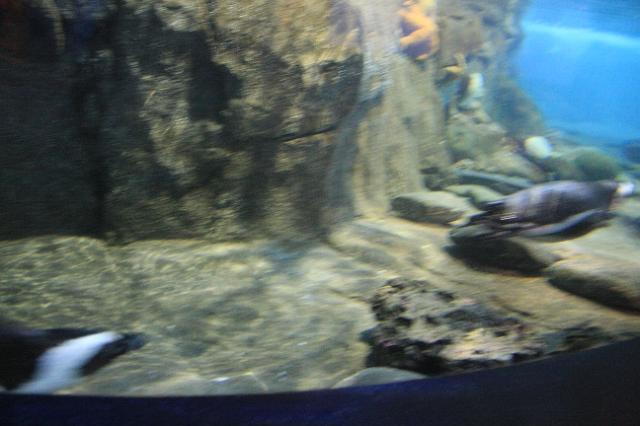 IMG_6002.JPG