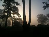 IMG_0155