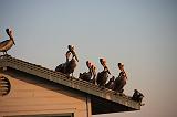 IMG_5846