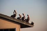 IMG_5847