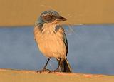 IMG_5855
