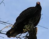 IMG_5858