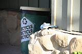 IMG_5864