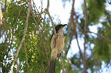 IMG_5867