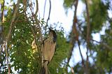 IMG_5868