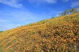 IMG_5869
