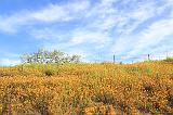 IMG_5873