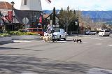 IMG_5875