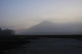 IMG_5908