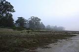 IMG_5912