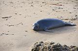 IMG_5919