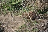 IMG_5941