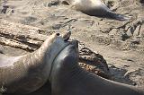 IMG_5951