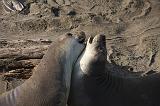 IMG_5955