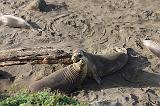 IMG_5956