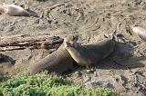 IMG_5958