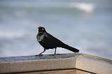 IMG_5960