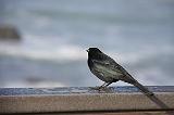 IMG_5962