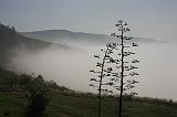 IMG_5964