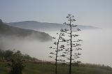 IMG_5965
