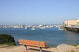 IMG_5973
