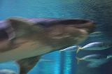 IMG_5980