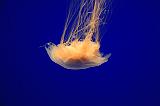 IMG_5996