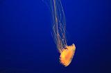 IMG_5997